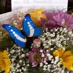 Pat Thiessen - @pthiessen48 - Instagram