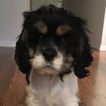Pat Thomason - @pat_thomason - Instagram
