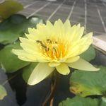 Pat Thomson - @patthomson123 - Instagram