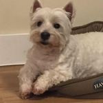 Pat Thomson - @patkrthomson - Instagram