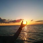 Pat Thomson - @thomson4893 - Instagram