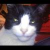 patthorner - @patthorner - TikTok