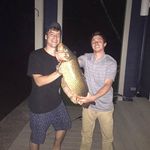 Pat Thornton - @teekapotamusrex - Instagram