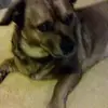 Pat Thornton - @pat.thornton1 - TikTok