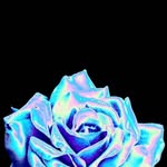 Pat Thornton - @pat.thornton.3517 - Instagram