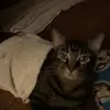 patriciathorpe82 - @patriciathorpe82 - TikTok