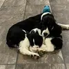 patthorpehinchey - @patthorpehinchey - TikTok