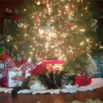 Pat Thurman - @thurman.pat - Instagram