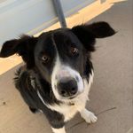 Pat Thurman - @flytosser - Instagram