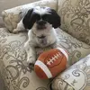 Patti Thurman253 - @pthurman5 - TikTok