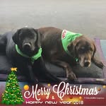 Patti Gerckens - @pattigerckens - Instagram