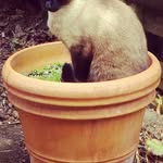 Pat Tilley - @pat_tilley - Instagram