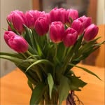 Patti Tilton - @beachprimcess - Instagram