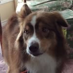 Patti Timbers - @pattitimbers - Instagram