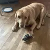 patimlin - @patimlin - TikTok