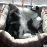 Pat Anderson Tinkham - @patncam116 - Instagram