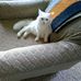 Pat Titus - Facebook