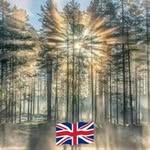 pat todd - @pattodd4 - Instagram