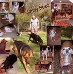 Pat Todd - Facebook