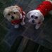 Pat Tolbert - Facebook