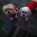 Pat Tolbert - Facebook