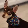 Pat Torres - @ruby_and_pat - TikTok