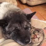 Pat Townend - @pat.townend - Instagram