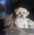 Pat Towner - Facebook