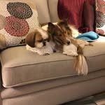 Pat Townsend - @pmtownsend73 - Instagram