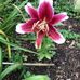Pat Townsend - Facebook