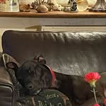@pat_townsend_ - Instagram