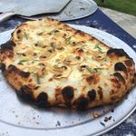 Pat Tracy - @pattracy8334 - Instagram