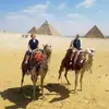 pattitrainorroela - @patti.trainor.roe - TikTok