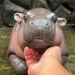 Pattrapp - @pattraja - Instagram