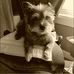 Pat Travis - Facebook