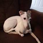 Pat Travis - @pat.travis.752 - Instagram