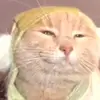 This hurt to watch - @pattrening - TikTok