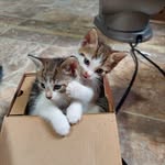 Patti Treiber - @pattitreiber - Instagram