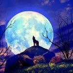 Pat Trexler - @freedomseeker41 - Instagram