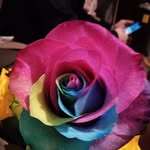 Patti Troutman - @pattroutman2014 - Instagram