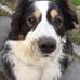 Patrick Trowbridge - Facebook