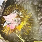 Patsy Sue Troxell - @patsysuetroxell - Instagram