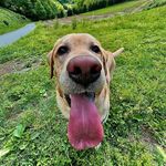 Achille - @achi_pattucci - Instagram