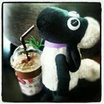 Pattuccino Pattuccino P - @pattuccino - Instagram