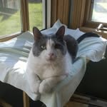 Patricia Turnage - @patturnagerobin - Instagram