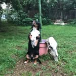 Pat & Tyler - @lovingsunshinydayz - Instagram