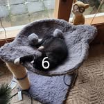 Pat Tyler - @pat.tyler.50 - Instagram