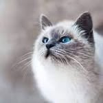 Pat Tyler - @pattyler83 - Instagram