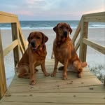 Pat Tyler - @pat5335 - Instagram