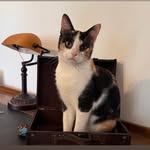 Patty Reed - @patty.reed.1018 - Instagram